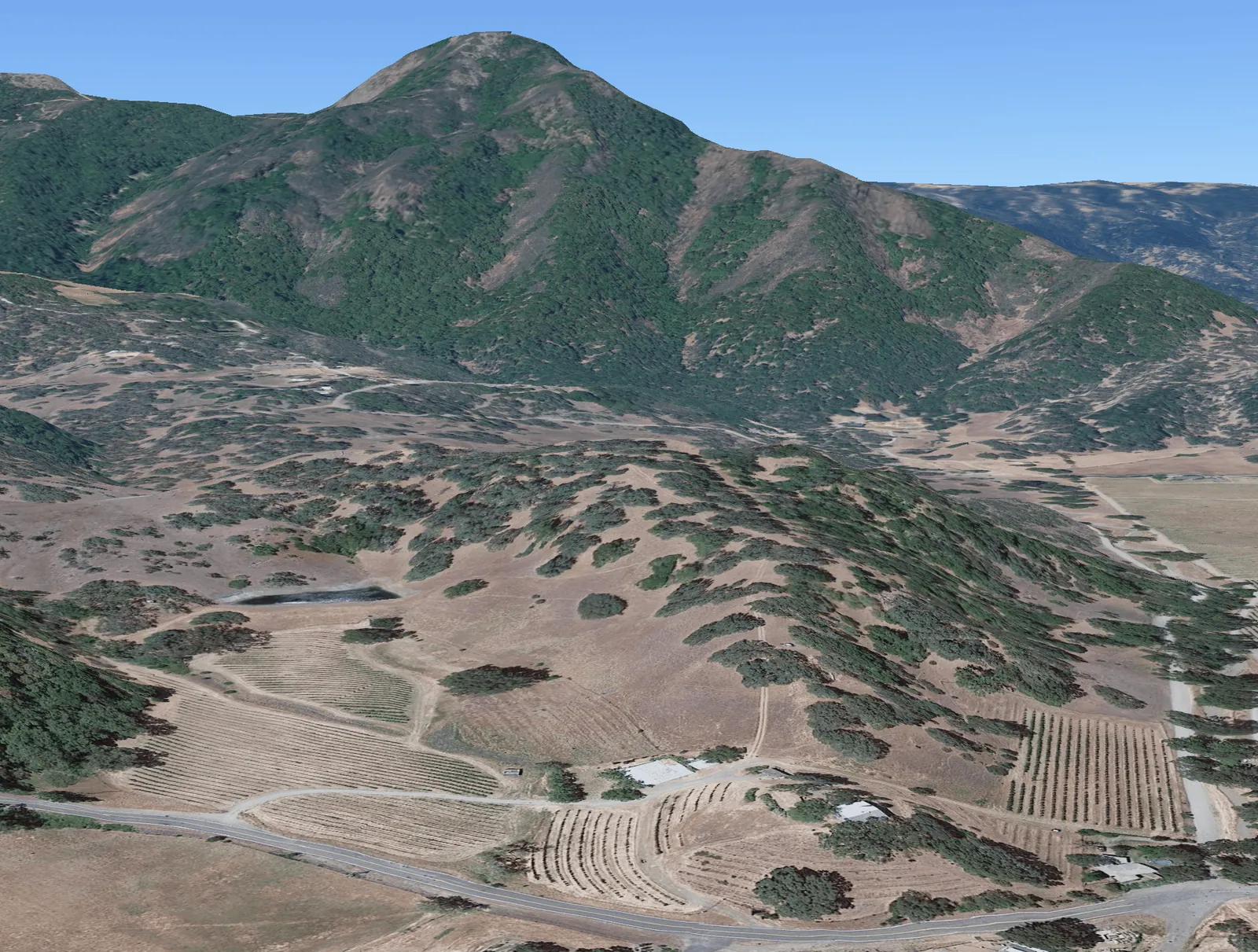 Aerial view of the Duncan Peak estate and its vineyard blocks